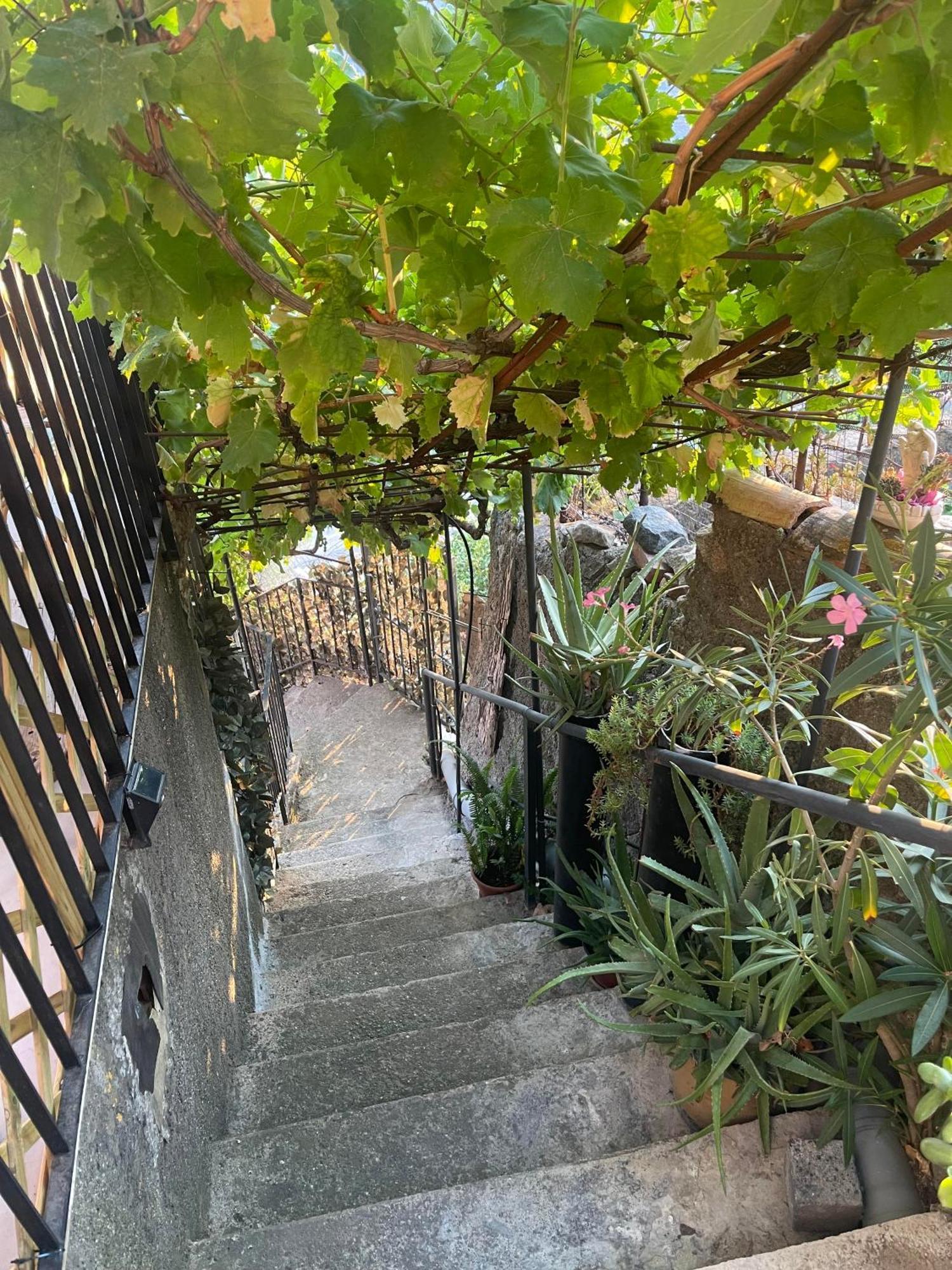 The Secret Garden Villa Forza dʼAgro Kültér fotó